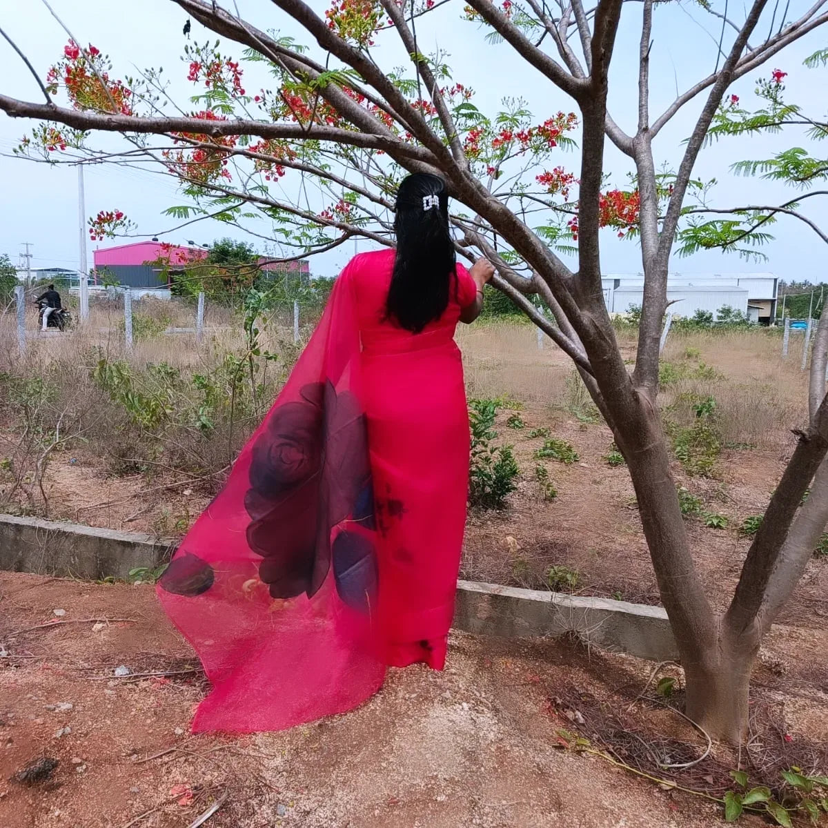 Red organza saree,with handpainted deep blue and black roses